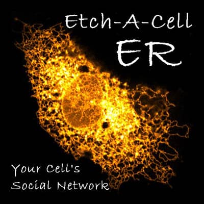 Etch-a-cell ER, your cell's social network. 